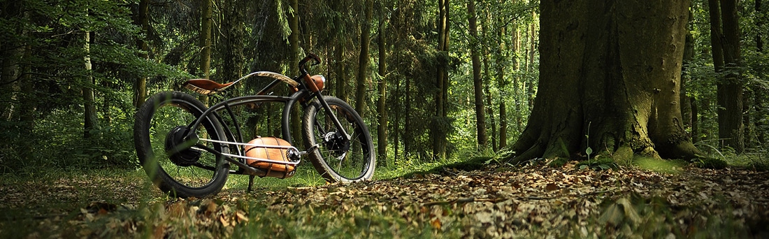 Avionics E-Bike im Wald