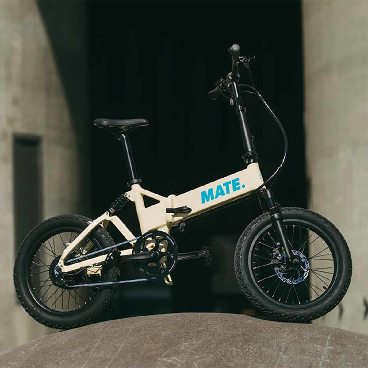 Mate Fusion E-Bike 