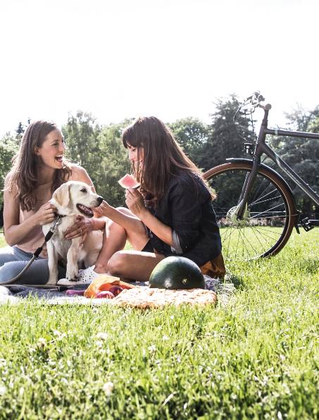 Jobrad Picknick mit Hund
